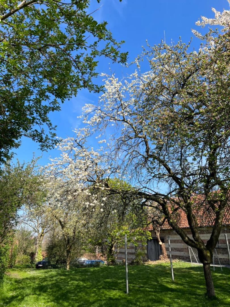 Villa De Zwarte Stok à Riemst Extérieur photo